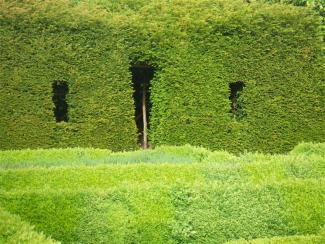 Mur vert, Jardins